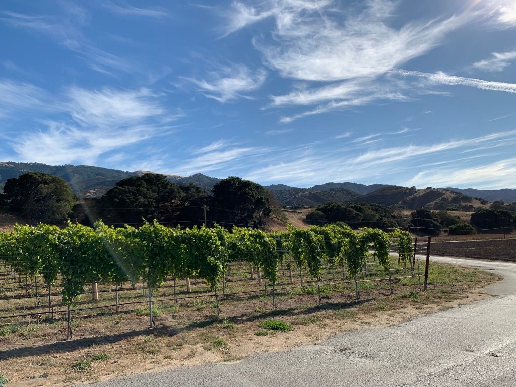 Odonata Wines: Monterey Winery With a Santa Cruz Surprise