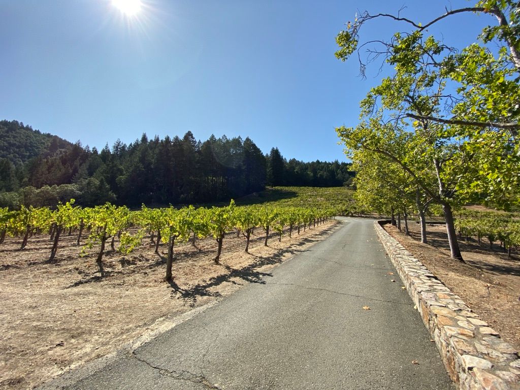 Stony Hill Vineyard: A Legacy of White Wine and Stones